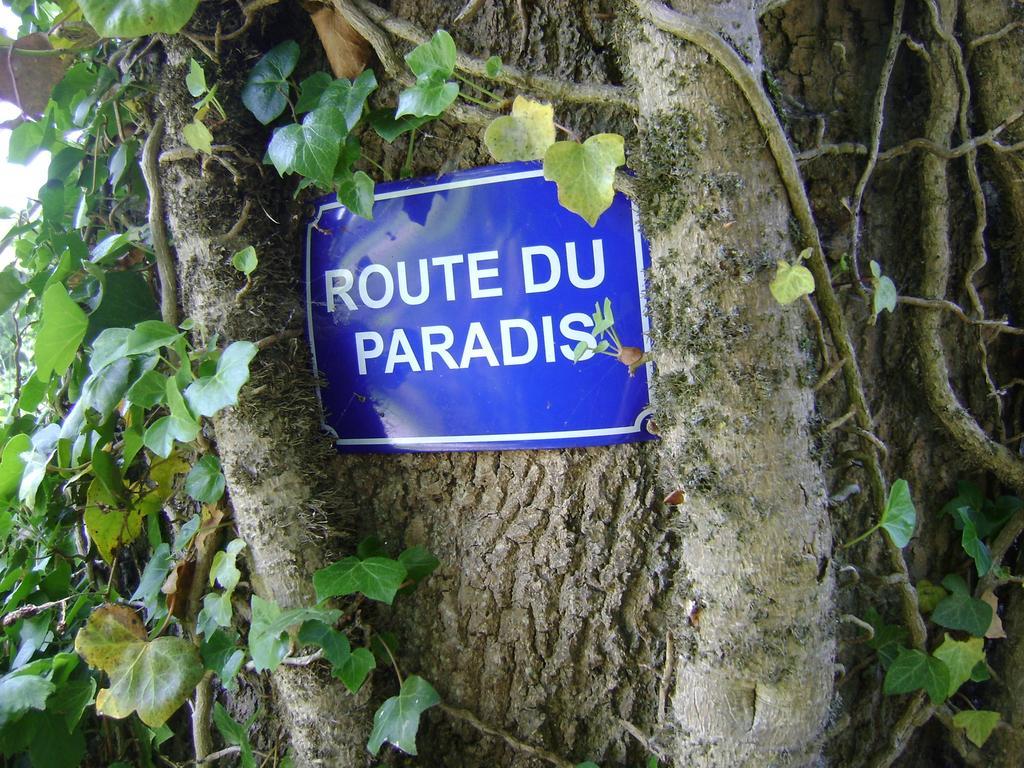 Gite Les Mineurs Zottegem Εξωτερικό φωτογραφία